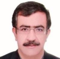 تصویر دکتر محمدحسین ترابی نژادکرمانی